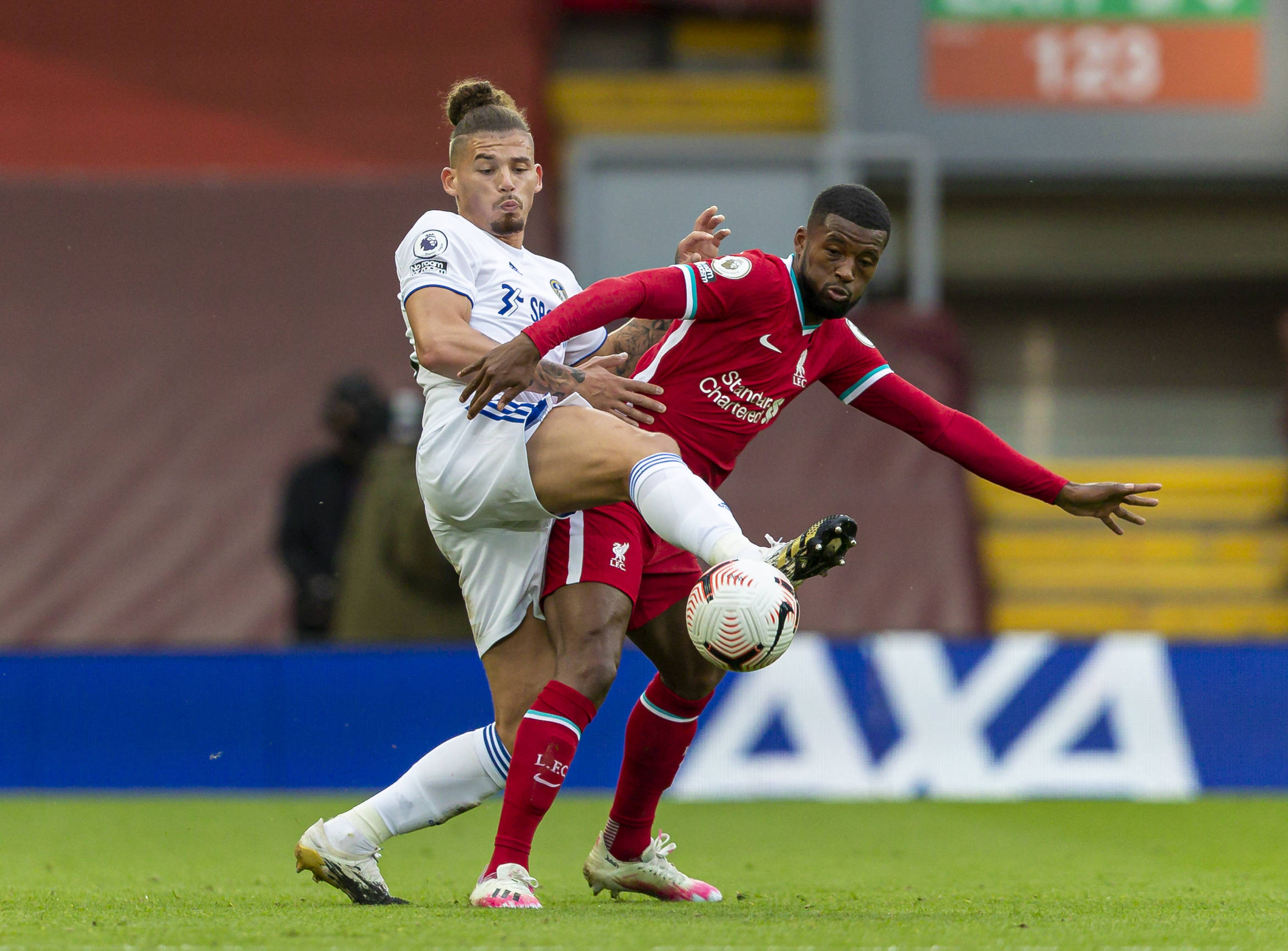 而理解馬寧 而理解馬寧