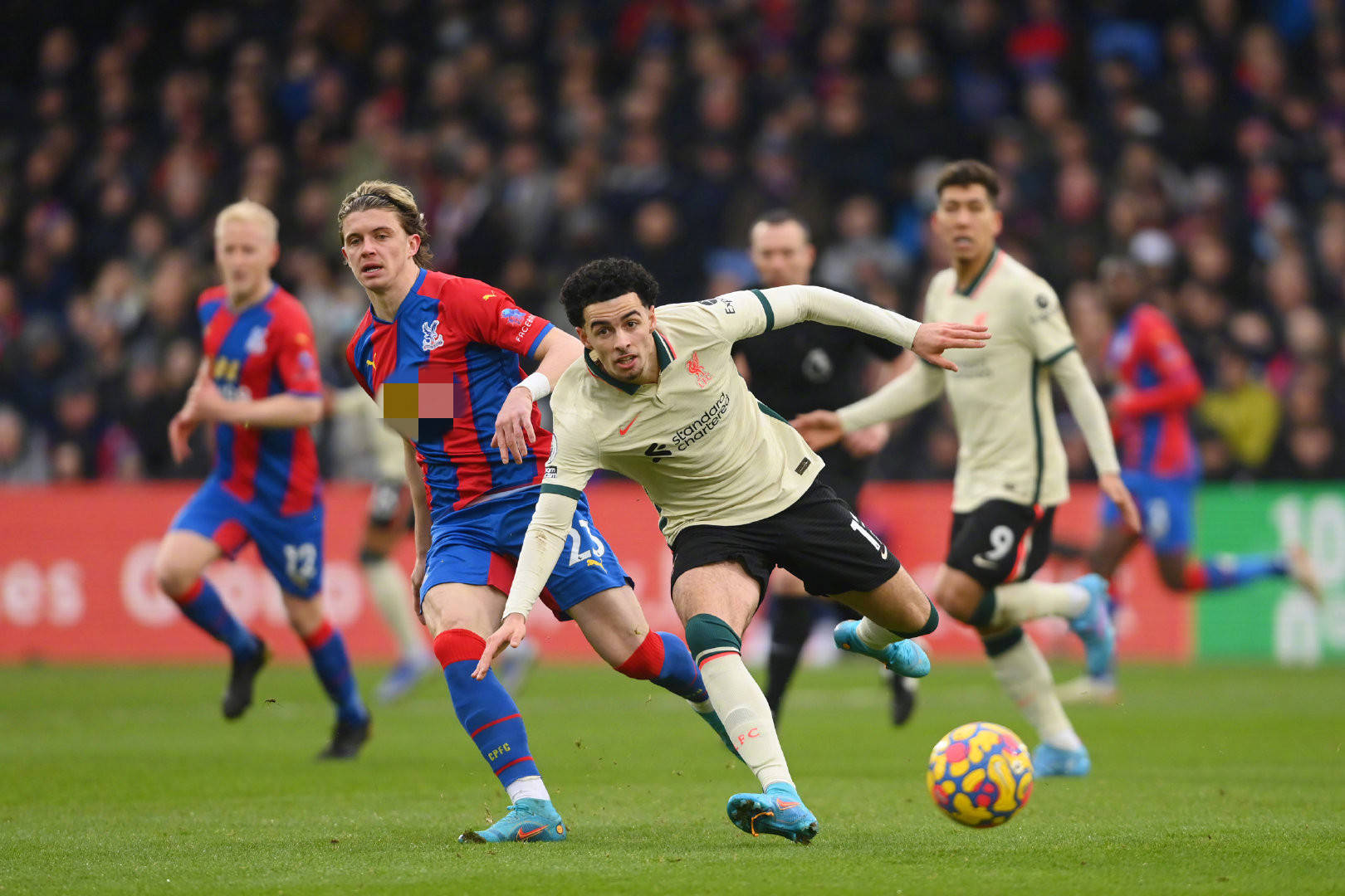 从某个角度 从某个角度